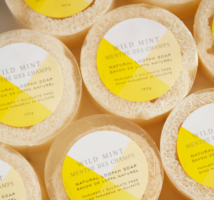 Multiple round Wild Mint loofa soaps shot from above